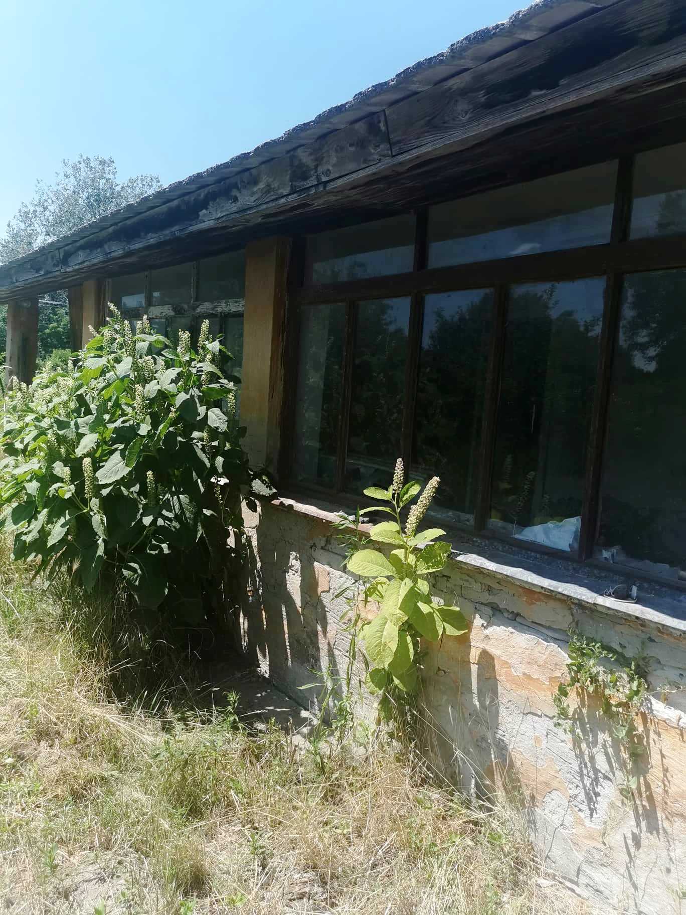 Na PREDAJ/SPLÁTKY rodinný dom v obci Selice